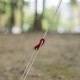 قیمت و خرید طناب نیچرهایک 3.5mm Wind Rope مدل NH20PJ122