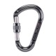 قیمت و خرید کارابین پیچ BEAL مدل BE LOCK