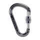 قیمت و خرید کارابین پیچ BEAL مدل BE LOCK